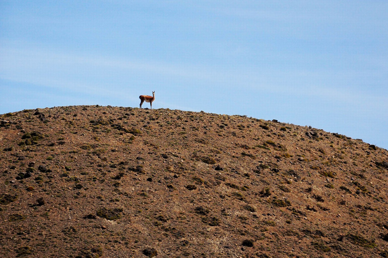 Patagonia