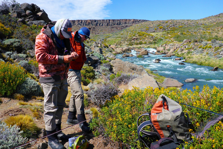 Patagonia