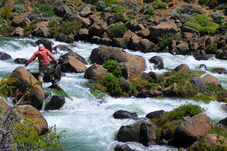 Patagonia