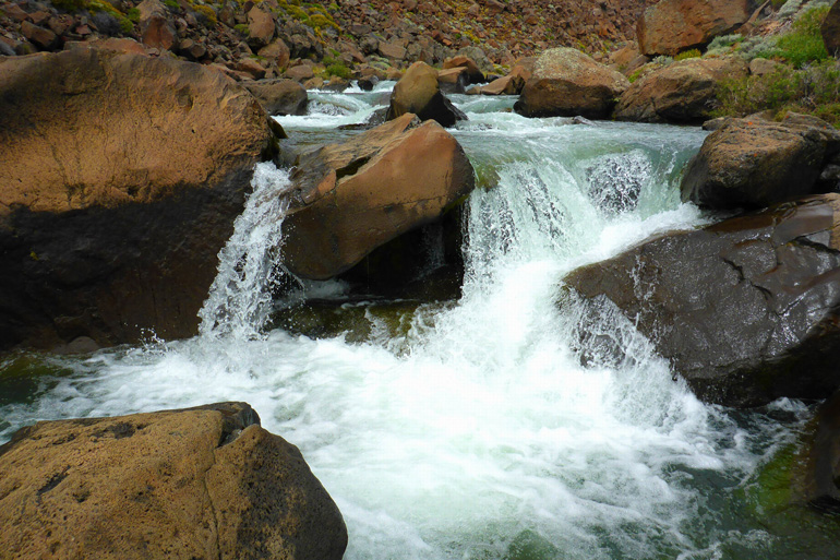 Patagonia