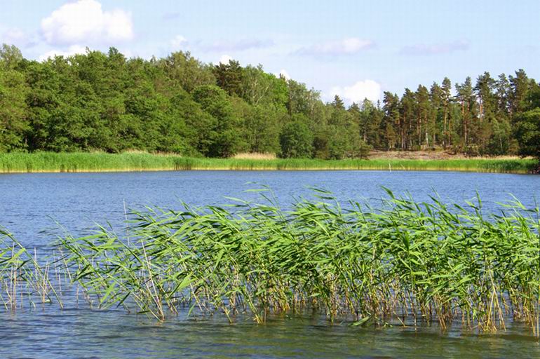 Wędkarstwo na Alandach