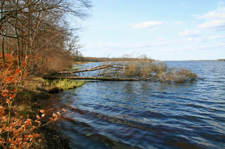 Wędkarstwo w Szwecji