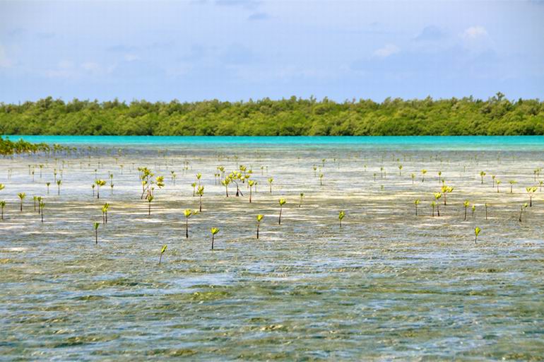 Wyprawa do Belize