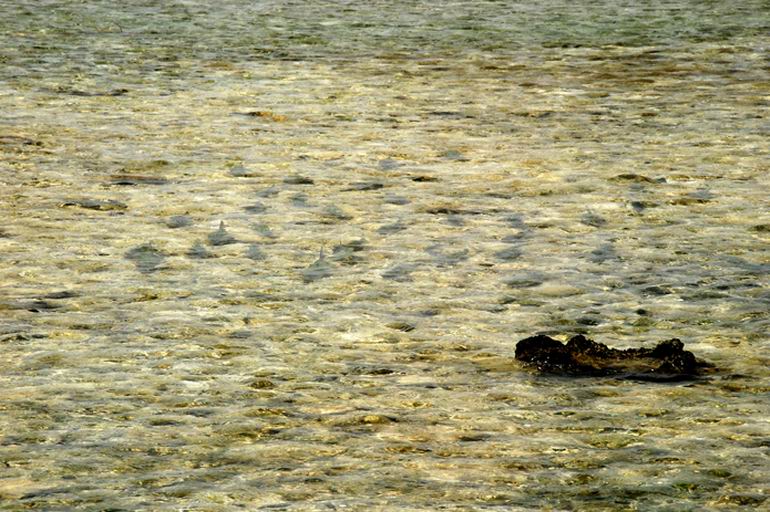 Wyprawa do Belize