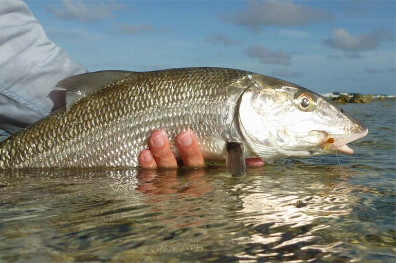 Wyprawa do Belize