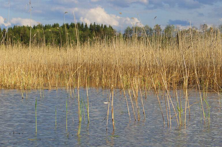 Wędkarstwo w Finlandii