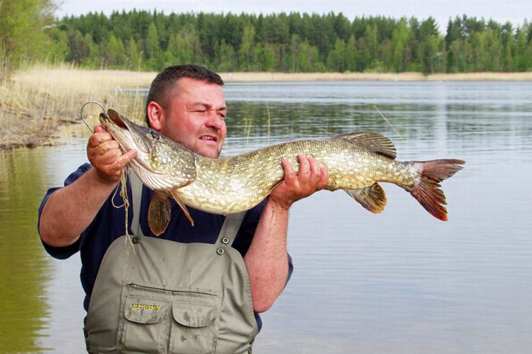 Wędkarstwo w Finlandii