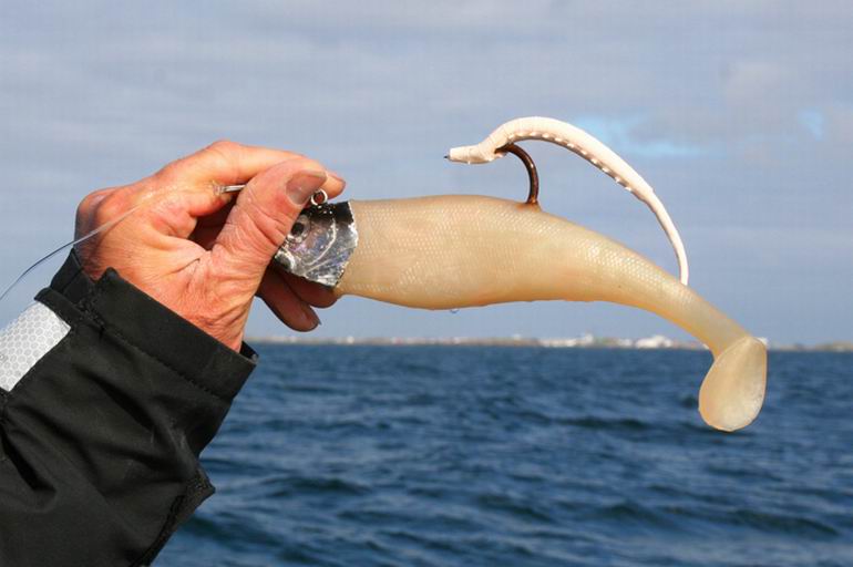 Wędkarstwo