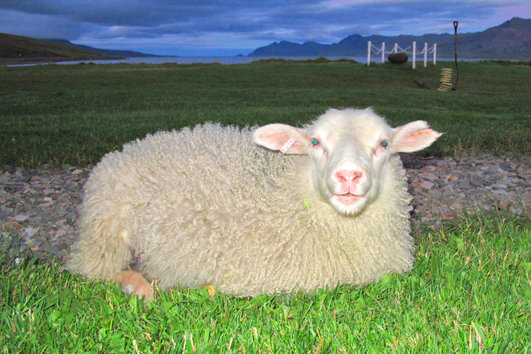 Islandia