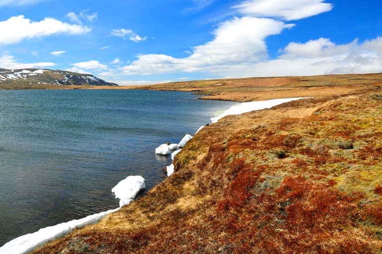 Islandia