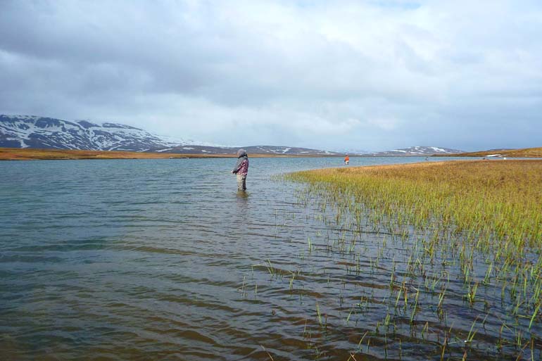 Islandia