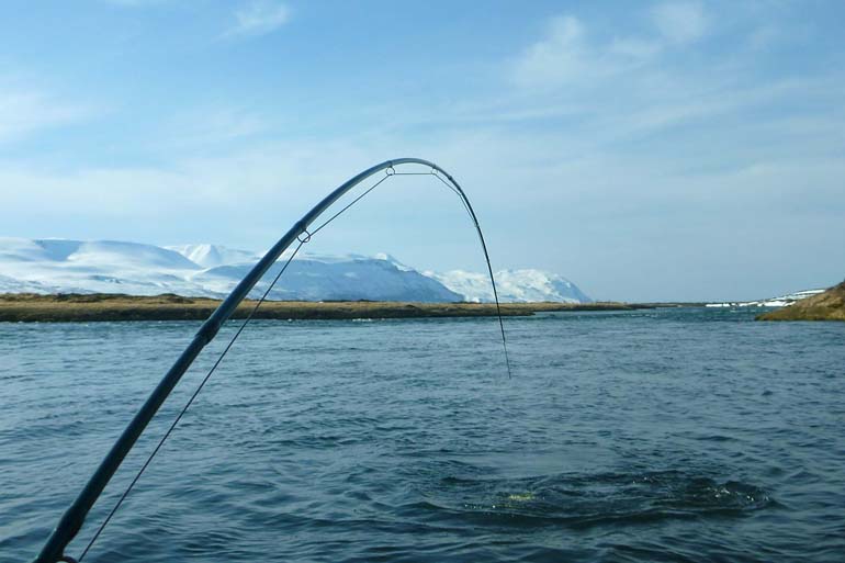Islandia
