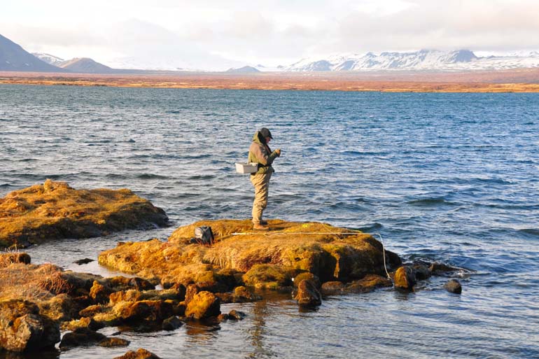 Islandia