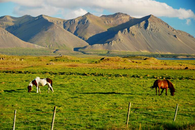 Islandia