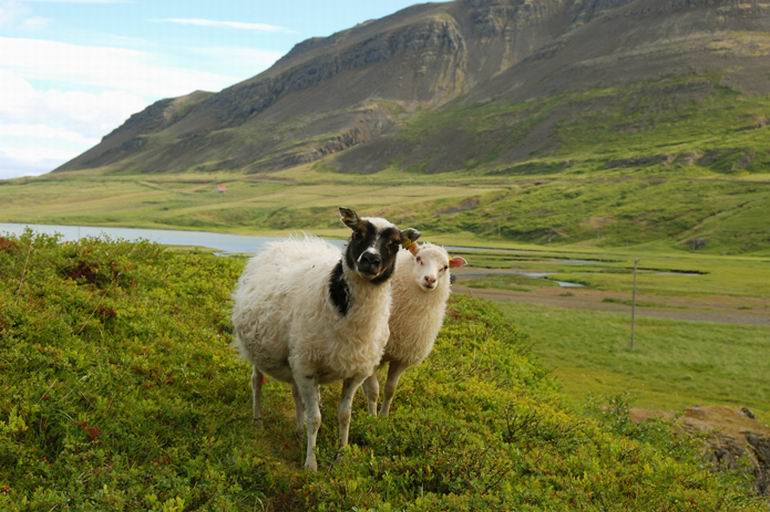 Islandia
