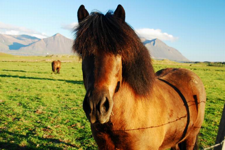 Islandia