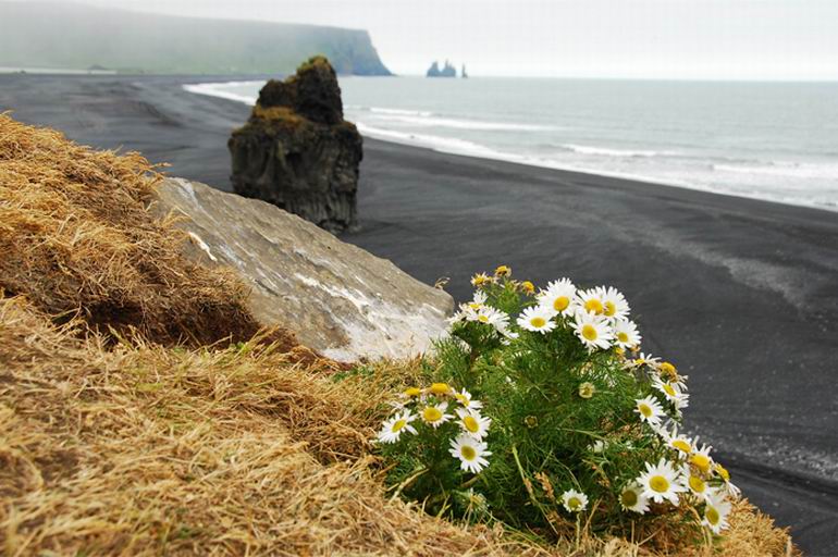 Islandia