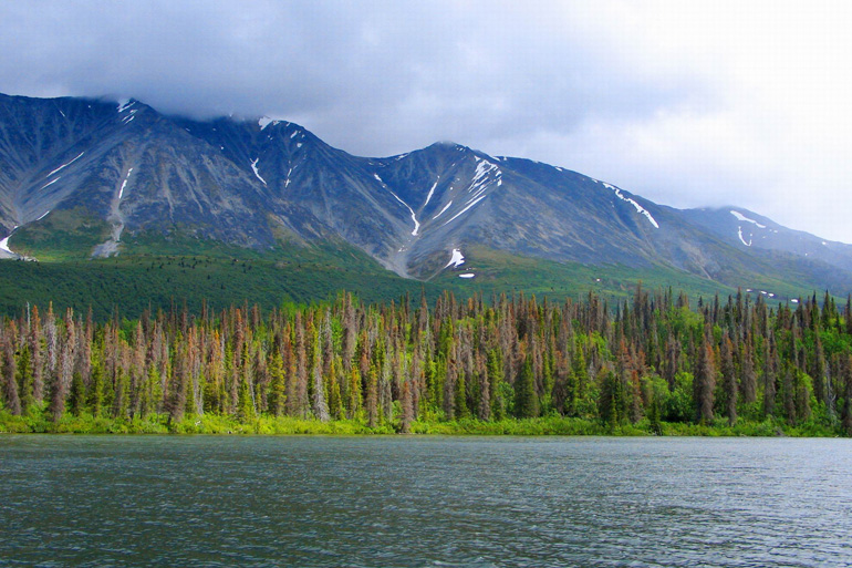 Jukon - Kanada