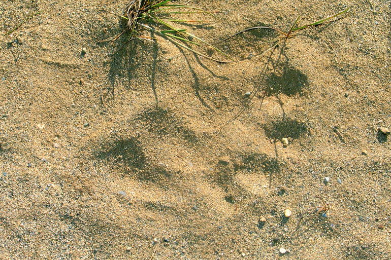 Jukon - Kanada