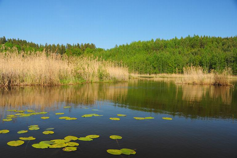 Szwecja