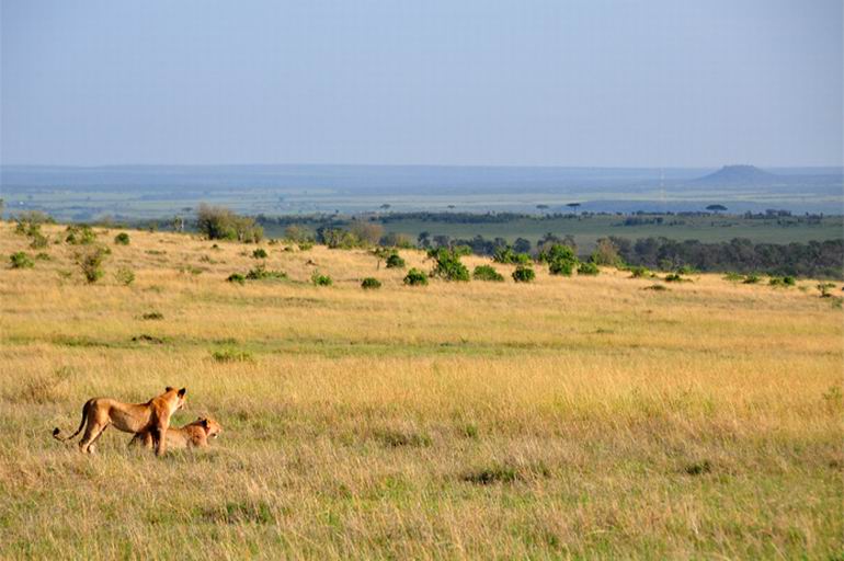 Wyprawa do Kenii