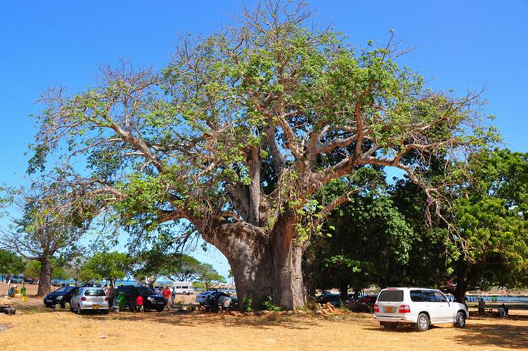 Wyprawa do Kenii