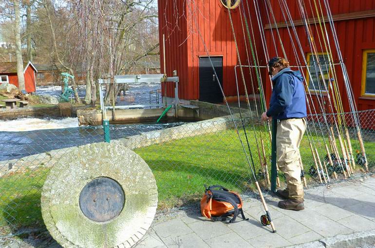 Mörrum