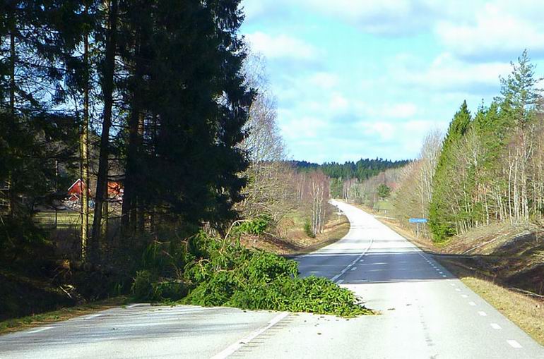 Mörrum
