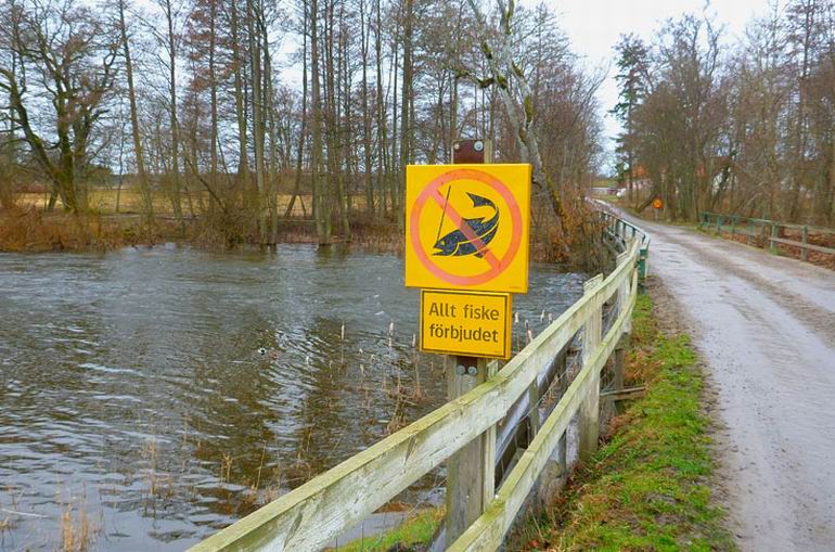 Mörrum
