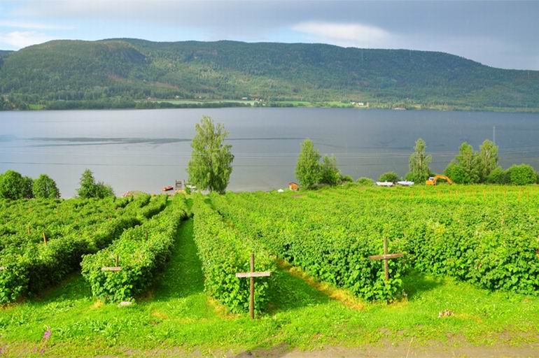 Wyprawa do Norwegii
