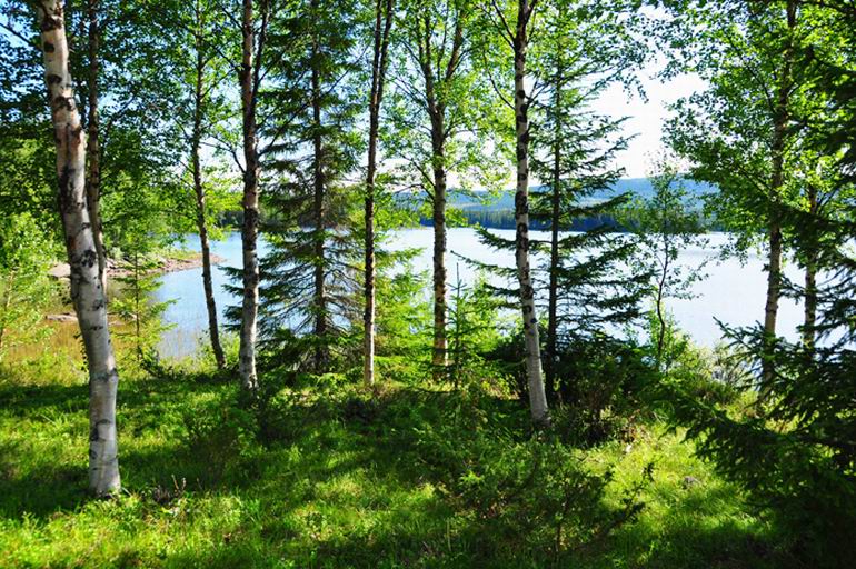Wyprawa do Norwegii