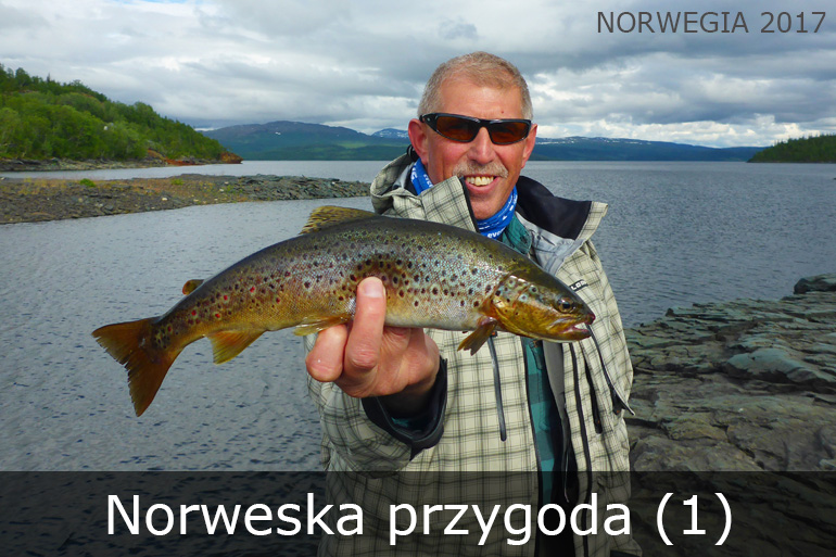 Norweska przygoda