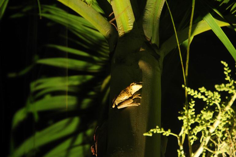 Panama