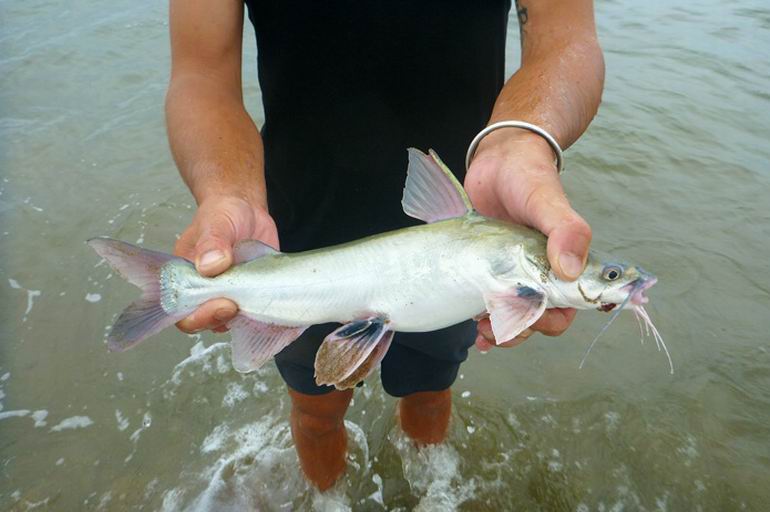Panama
