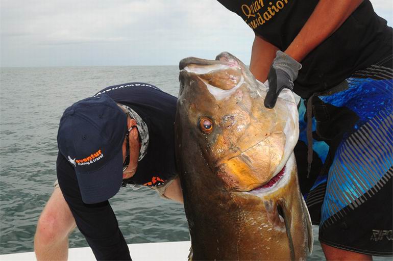 Panama