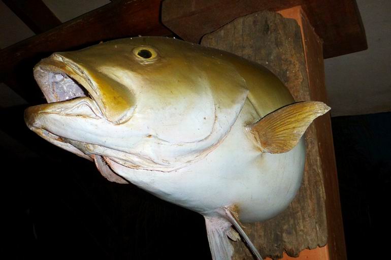 Panama