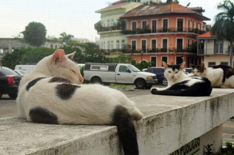 Panama
