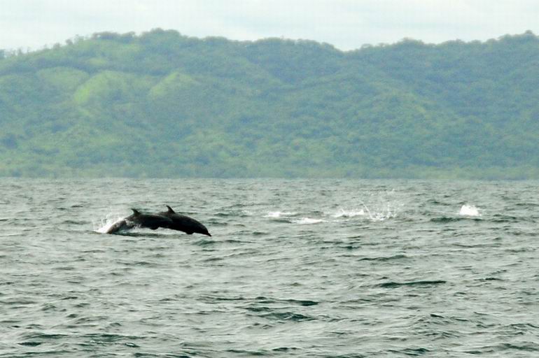 Panama