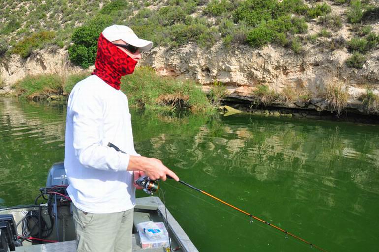 Ebro