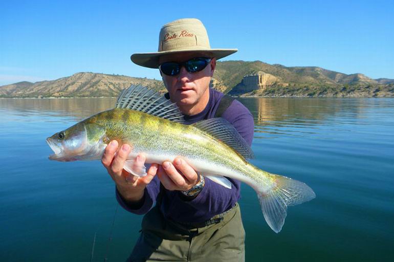 Ebro