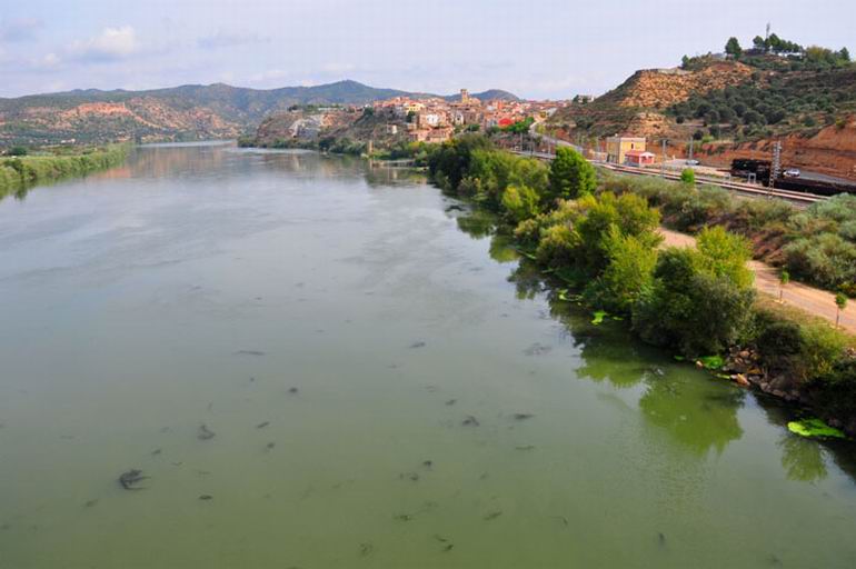 Ebro