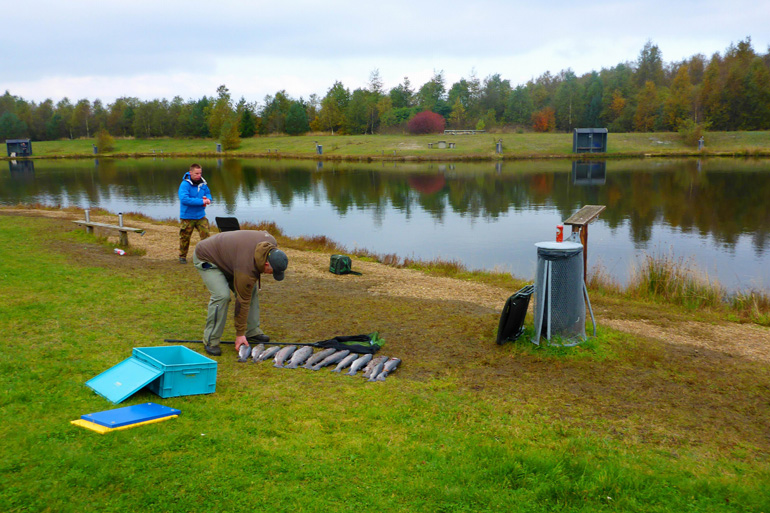 Silkeborg