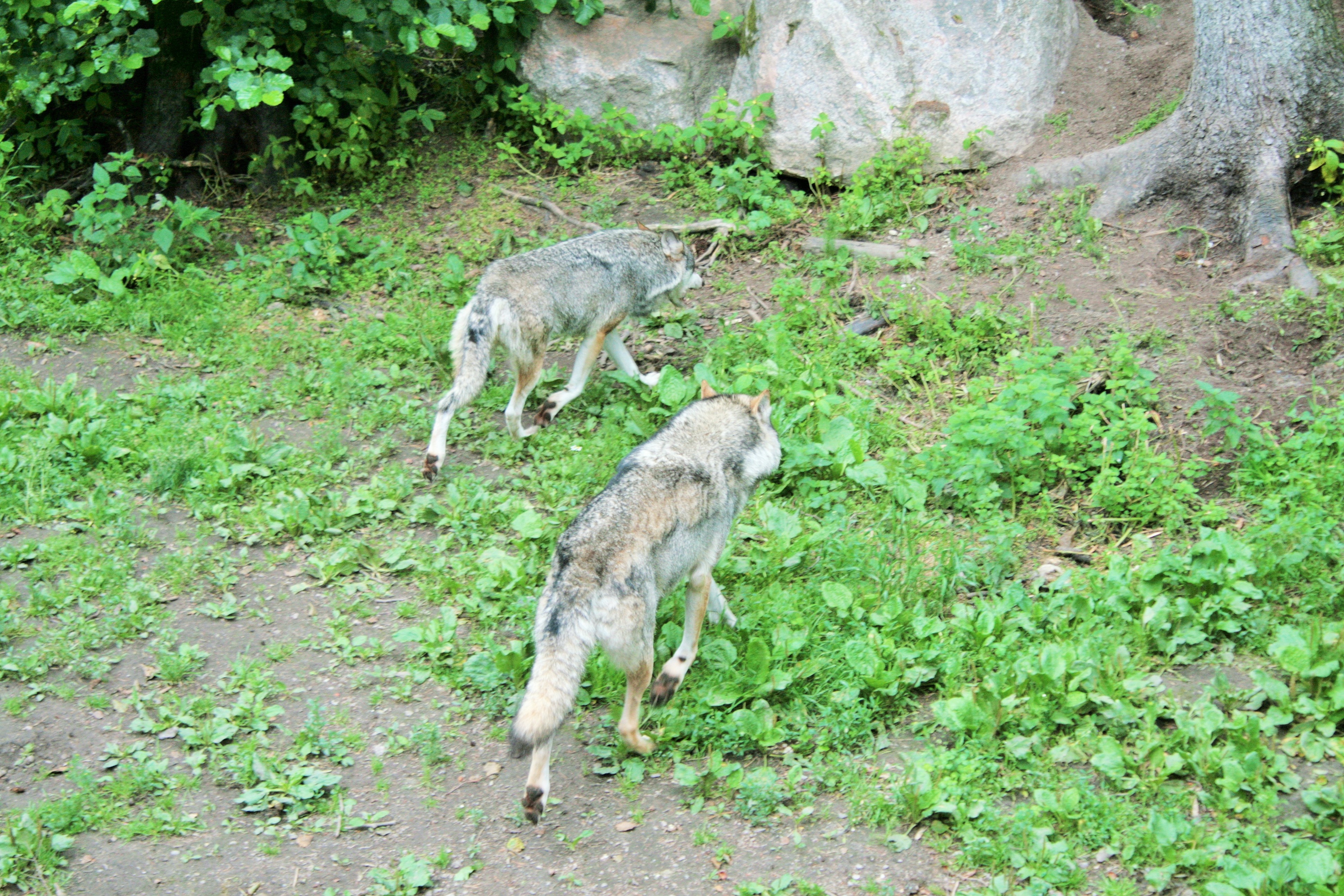 Szwecja