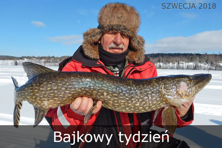 Bajkowy tydzień