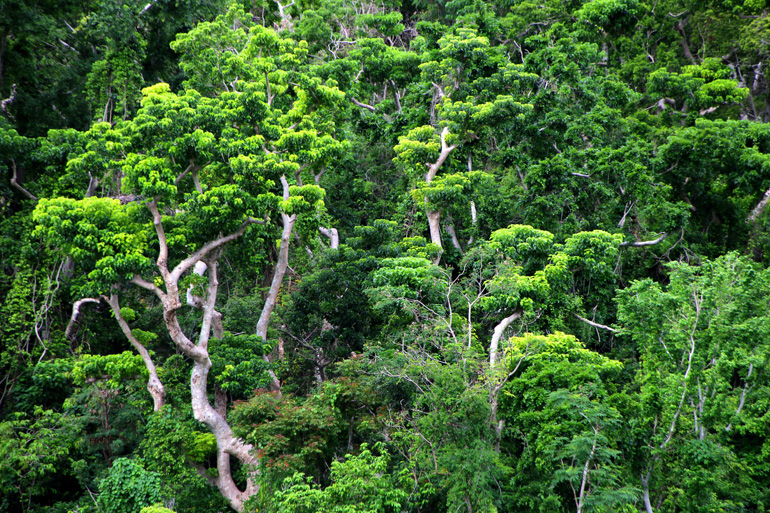 Vanuatu
