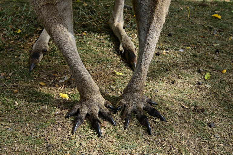 Vanuatu